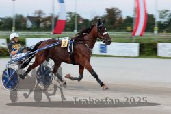 Dateiname=20250810_r10_023_R10_0050.jpg
Dateigröße=238KB
Abmessungen: 1000x667
hinzugefügt am: 17. August 2025 20250810_r10_023_R10_0050.jpg