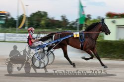 Dateiname=20250810_r10_037_R10_0069.jpg
Dateigröße=229KB
Abmessungen: 1000x667
hinzugefügt am: 17. August 2025 20250810_r10_037_R10_0069.jpg