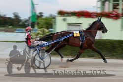 Dateiname=20250810_r10_038_R10_0070.jpg
Dateigröße=230KB
Abmessungen: 1000x667
hinzugefügt am: 17. August 2025 20250810_r10_038_R10_0070.jpg