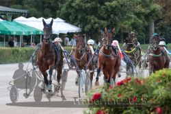 Dateiname=20250810_r10_044_R10_0083.jpg
Dateigröße=337KB
Abmessungen: 1000x667
hinzugefügt am: 17. August 2025 20250810_r10_044_R10_0083.jpg