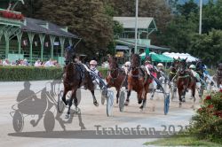 Dateiname=20250810_r10_045_R10_0086.jpg
Dateigröße=361KB
Abmessungen: 1000x667
hinzugefügt am: 17. August 2025 20250810_r10_045_R10_0086.jpg