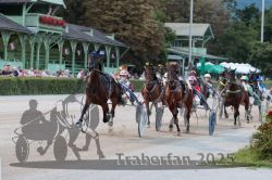 Dateiname=20250810_r10_046_R10_0087.jpg
Dateigröße=320KB
Abmessungen: 1000x667
hinzugefügt am: 17. August 2025 20250810_r10_046_R10_0087.jpg