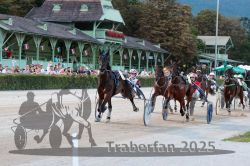 Dateiname=20250810_r10_047_R10_0089.jpg
Dateigröße=348KB
Abmessungen: 1000x667
hinzugefügt am: 17. August 2025 20250810_r10_047_R10_0089.jpg