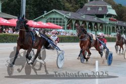 Dateiname=20250810_r10_050_R10_0094.jpg
Dateigröße=325KB
Abmessungen: 1000x667
hinzugefügt am: 17. August 2025 20250810_r10_050_R10_0094.jpg