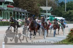 Dateiname=20250810_r10_062_R10_0109.jpg
Dateigröße=315KB
Abmessungen: 1000x667
hinzugefügt am: 17. August 2025 20250810_r10_062_R10_0109.jpg