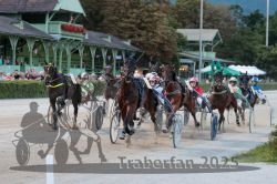 Dateiname=20250810_r10_063_R10_0110.jpg
Dateigröße=313KB
Abmessungen: 1000x667
hinzugefügt am: 17. August 2025 20250810_r10_063_R10_0110.jpg