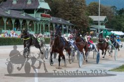 Dateiname=20250810_r10_064_R10_0111.jpg
Dateigröße=335KB
Abmessungen: 1000x667
hinzugefügt am: 17. August 2025 20250810_r10_064_R10_0111.jpg