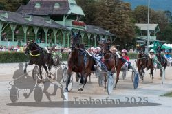 Dateiname=20250810_r10_065_R10_0112.jpg
Dateigröße=361KB
Abmessungen: 1000x667
hinzugefügt am: 17. August 2025 20250810_r10_065_R10_0112.jpg