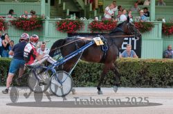 Dateiname=20250810_r10_095_R10_0146.jpg
Dateigröße=365KB
Abmessungen: 1000x667
hinzugefügt am: 17. August 2025 20250810_r10_095_R10_0146.jpg