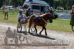 Dateiname=20250815_r01_034_R01_0051.jpg
Dateigröße=438KB
Abmessungen: 1000x667
hinzugefügt am: 17. August 2025 20250815_r01_034_R01_0051.jpg