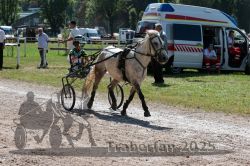 Dateiname=20250815_r01_039_R01_0057.jpg
Dateigröße=426KB
Abmessungen: 1000x667
hinzugefügt am: 17. August 2025 20250815_r01_039_R01_0057.jpg