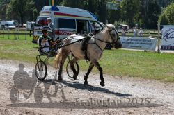 Dateiname=20250815_r01_041_R01_0060.jpg
Dateigröße=437KB
Abmessungen: 1000x667
hinzugefügt am: 17. August 2025 20250815_r01_041_R01_0060.jpg