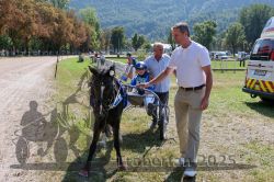 Dateiname=20250815_r01_080_R01_0125.jpg
Dateigröße=475KB
Abmessungen: 1000x667
hinzugefügt am: 17. August 2025 20250815_r01_080_R01_0125.jpg