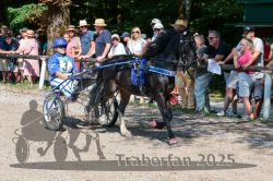 Dateiname=20250815_r01_109_R01_0157.jpg
Dateigröße=386KB
Abmessungen: 1000x667
hinzugefügt am: 17. August 2025 20250815_r01_109_R01_0157.jpg