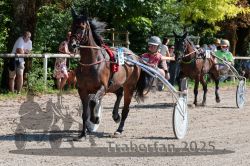 Dateiname=20250815_r04_021_R04_0220.jpg
Dateigröße=460KB
Abmessungen: 1000x667
hinzugefügt am: 17. August 2025 20250815_r04_021_R04_0220.jpg