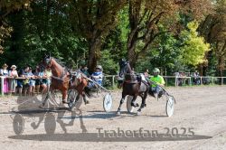 Dateiname=20250815_r04_029_R04_0233.jpg
Dateigröße=506KB
Abmessungen: 1000x667
hinzugefügt am: 17. August 2025 20250815_r04_029_R04_0233.jpg