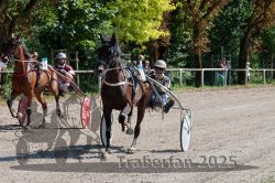 Dateiname=20250815_r04_036_R04_0243.jpg
Dateigröße=450KB
Abmessungen: 1000x667
hinzugefügt am: 17. August 2025 20250815_r04_036_R04_0243.jpg