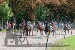 Dateiname=20250815_r04_039_R04_0246.jpg
Dateigröße=504KB
Abmessungen: 1000x667
hinzugefügt am: 17. August 2025 20250815_r04_039_R04_0246.jpg