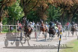 Dateiname=20250815_r04_041_R04_0249.jpg
Dateigröße=501KB
Abmessungen: 1000x667
hinzugefügt am: 17. August 2025 20250815_r04_041_R04_0249.jpg