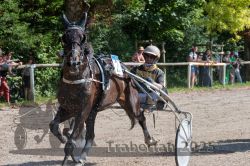 Dateiname=20250815_r04_076_R04_0294.jpg
Dateigröße=409KB
Abmessungen: 1000x667
hinzugefügt am: 17. August 2025 20250815_r04_076_R04_0294.jpg