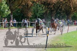 Dateiname=20250815_r04_103_R04_0326.jpg
Dateigröße=486KB
Abmessungen: 1000x667
hinzugefügt am: 17. August 2025 20250815_r04_103_R04_0326.jpg