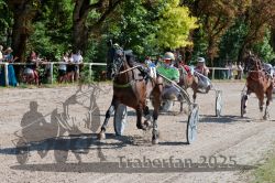 Dateiname=20250815_r04_115_R04_0339.jpg
Dateigröße=446KB
Abmessungen: 1000x667
hinzugefügt am: 17. August 2025 20250815_r04_115_R04_0339.jpg