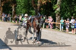 Dateiname=20250815_r04_140_R04_0379.jpg
Dateigröße=461KB
Abmessungen: 1000x667
hinzugefügt am: 17. August 2025 20250815_r04_140_R04_0379.jpg