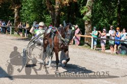 Dateiname=20250815_r04_141_R04_0380.jpg
Dateigröße=457KB
Abmessungen: 1000x667
hinzugefügt am: 17. August 2025 20250815_r04_141_R04_0380.jpg