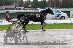 Dateiname=20250914_qu2_025_QU2_0033.jpg
Dateigröße=292KB
Abmessungen: 1000x667
hinzugefügt am: 15. September 2025 20250914_qu2_025_QU2_0033.jpg