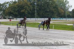 Dateiname=20250914_qu2_029_QU2_0037.jpg
Dateigröße=287KB
Abmessungen: 1000x667
hinzugefügt am: 15. September 2025 20250914_qu2_029_QU2_0037.jpg