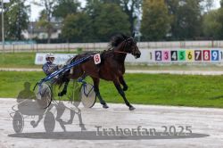 Dateiname=20250914_qu2_034_QU2_0042.jpg
Dateigröße=276KB
Abmessungen: 1000x667
hinzugefügt am: 15. September 2025 20250914_qu2_034_QU2_0042.jpg