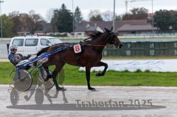 Dateiname=20250914_qu2_040_QU2_0048.jpg
Dateigröße=263KB
Abmessungen: 1000x667
hinzugefügt am: 15. September 2025 20250914_qu2_040_QU2_0048.jpg