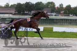 Dateiname=20250914_qu2_046_QU2_0055.jpg
Dateigröße=260KB
Abmessungen: 1000x667
hinzugefügt am: 15. September 2025 20250914_qu2_046_QU2_0055.jpg