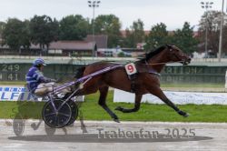 Dateiname=20250914_qu2_047_QU2_0056.jpg
Dateigröße=269KB
Abmessungen: 1000x667
hinzugefügt am: 15. September 2025 20250914_qu2_047_QU2_0056.jpg