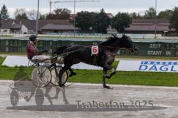 Dateiname=20250914_qu2_049_QU2_0058.jpg
Dateigröße=269KB
Abmessungen: 1000x667
hinzugefügt am: 15. September 2025 20250914_qu2_049_QU2_0058.jpg