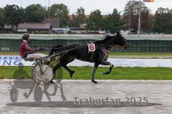 Dateiname=20250914_qu2_052_QU2_0061.jpg
Dateigröße=256KB
Abmessungen: 1000x667
hinzugefügt am: 15. September 2025 20250914_qu2_052_QU2_0061.jpg