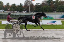 Dateiname=20250914_qu2_053_QU2_0062.jpg
Dateigröße=275KB
Abmessungen: 1000x667
hinzugefügt am: 15. September 2025 20250914_qu2_053_QU2_0062.jpg