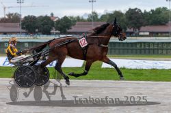 Dateiname=20250914_qu3_022_QU3_0023.jpg
Dateigröße=270KB
Abmessungen: 1000x667
hinzugefügt am: 15. September 2025 20250914_qu3_022_QU3_0023.jpg