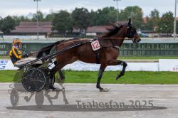 Dateiname=20250914_qu3_023_QU3_0024.jpg
Dateigröße=268KB
Abmessungen: 1000x667
hinzugefügt am: 15. September 2025 20250914_qu3_023_QU3_0024.jpg