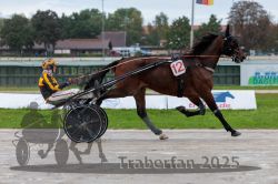 Dateiname=20250914_qu3_024_QU3_0025.jpg
Dateigröße=278KB
Abmessungen: 1000x667
hinzugefügt am: 15. September 2025 20250914_qu3_024_QU3_0025.jpg