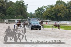 Dateiname=20250914_qu3_026_QU3_0029.jpg
Dateigröße=315KB
Abmessungen: 1000x667
hinzugefügt am: 15. September 2025 20250914_qu3_026_QU3_0029.jpg