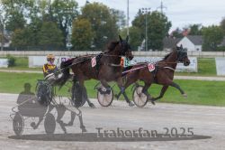 Dateiname=20250914_qu3_027_QU3_0030.jpg
Dateigröße=263KB
Abmessungen: 1000x667
hinzugefügt am: 15. September 2025 20250914_qu3_027_QU3_0030.jpg