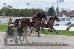 Dateiname=20250914_qu3_030_QU3_0033.jpg
Dateigröße=266KB
Abmessungen: 1000x667
hinzugefügt am: 15. September 2025 20250914_qu3_030_QU3_0033.jpg