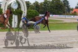 Dateiname=20250914_qu3_037_QU3_0044.jpg
Dateigröße=326KB
Abmessungen: 1000x667
hinzugefügt am: 15. September 2025 20250914_qu3_037_QU3_0044.jpg