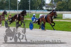 Dateiname=20250914_qu3_041_QU3_0048.jpg
Dateigröße=307KB
Abmessungen: 1000x667
hinzugefügt am: 15. September 2025 20250914_qu3_041_QU3_0048.jpg