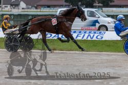 Dateiname=20250914_qu3_048_QU3_0056.jpg
Dateigröße=293KB
Abmessungen: 1000x667
hinzugefügt am: 15. September 2025 20250914_qu3_048_QU3_0056.jpg