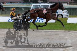 Dateiname=20250914_qu3_049_QU3_0057.jpg
Dateigröße=297KB
Abmessungen: 1000x667
hinzugefügt am: 15. September 2025 20250914_qu3_049_QU3_0057.jpg