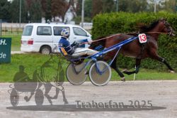 Dateiname=20250914_qu3_055_QU3_0065.jpg
Dateigröße=316KB
Abmessungen: 1000x667
hinzugefügt am: 15. September 2025 20250914_qu3_055_QU3_0065.jpg