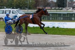 Dateiname=20250914_qu3_060_QU3_0071.jpg
Dateigröße=284KB
Abmessungen: 1000x667
hinzugefügt am: 15. September 2025 20250914_qu3_060_QU3_0071.jpg