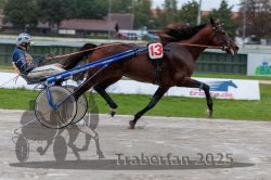 Dateiname=20250914_qu3_068_QU3_0082.jpg
Dateigröße=280KB
Abmessungen: 1000x667
hinzugefügt am: 15. September 2025 20250914_qu3_068_QU3_0082.jpg